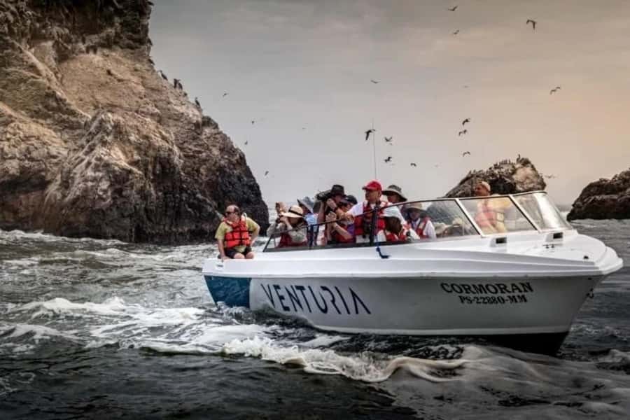 From Lima: Day trip to Paracas, Ica and Oasis Huacachina - The long return to Lima