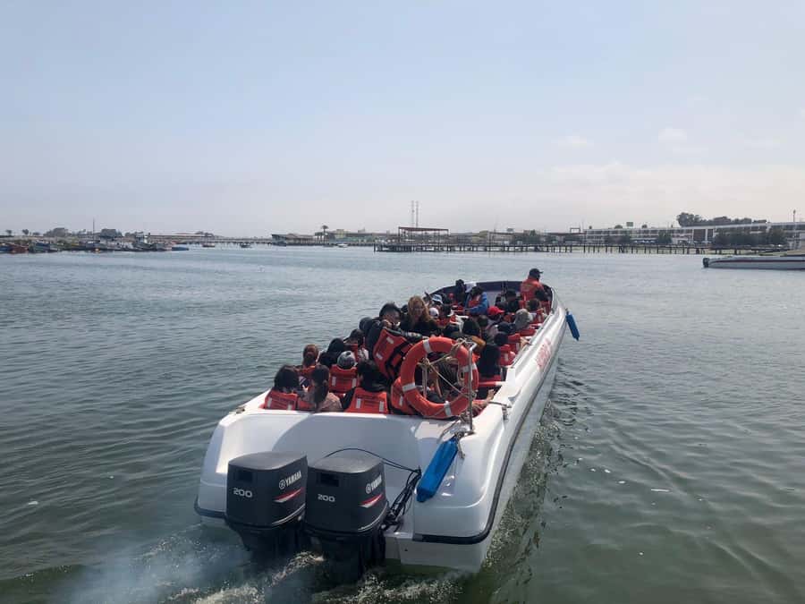 From Lima: Day Trip to Paracas, Ica & Oasis Huacachina - Ballestas Islands and the El Candelabro sight