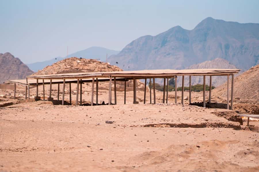 From Lima: Discover the Ancient Sites Caral & Bandurria - Is the $300 Price Good Value?