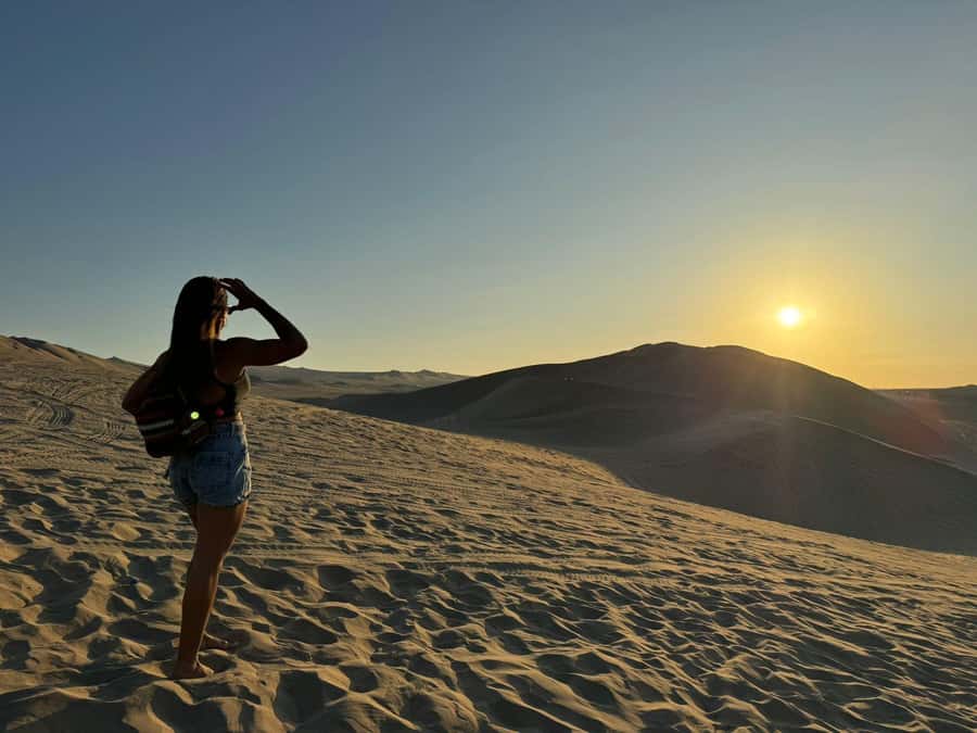 From Lima: Full Day Private All Inclusive Paracas, Ica. - Ballestas Islands and the 2,500-year-old Candelabra