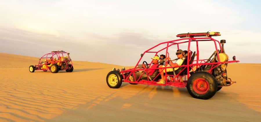 From Lima: Full Day Tour (Paracas + Huacachina) - Ballestas Islands: wildlife from the Chaco dock
