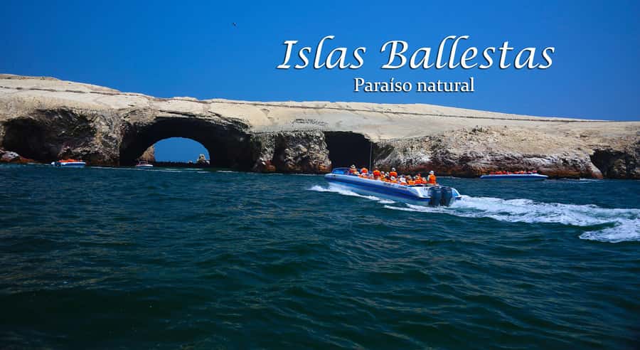 From Lima: Full Day Tour (Paracas + Huacachina) - Should you book it?