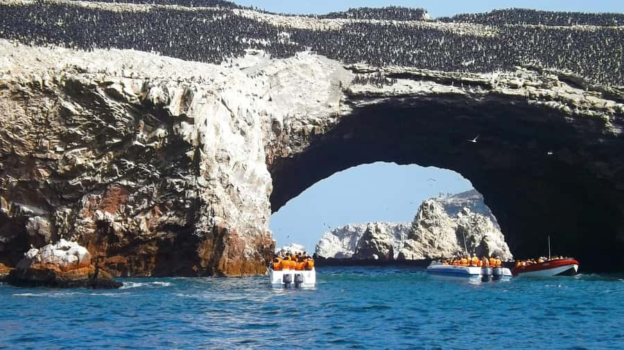 From Lima: Huacachina Oasis & Ballestas Island - ENGL / ESPA - Key points to know before booking