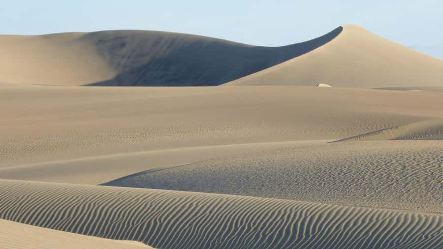 From Lima: Huacachina Oasis & Ballestas Island - ENGL / ESPA - The 45-minute dune buggy and sandboarding run