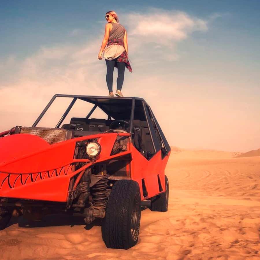 From Lima: Huacachina & Paracas Aventure Tour All Included - Pisco and Wine Tasting in Ica