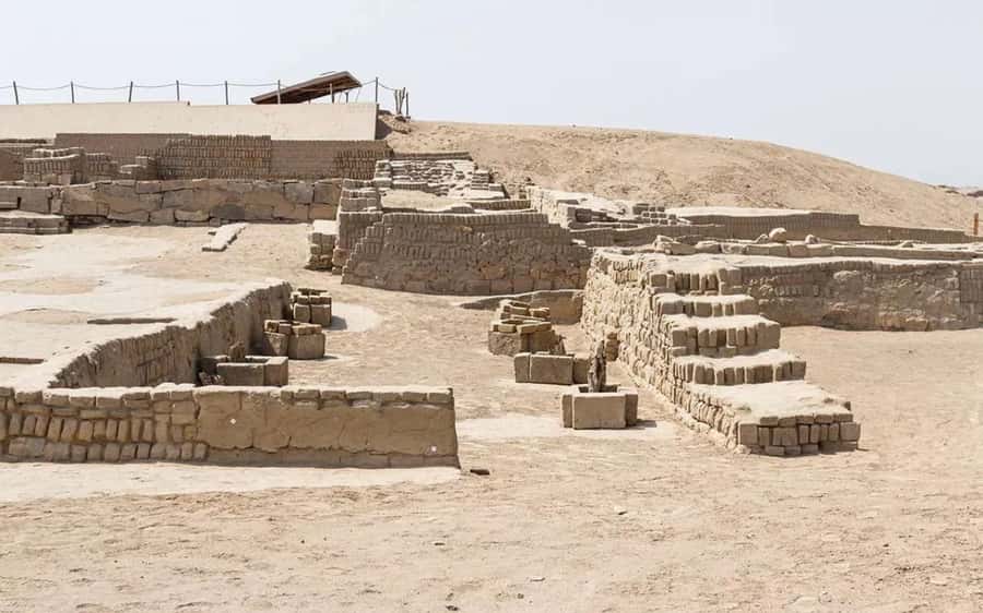 From Lima: Pachacamac Archaeological Site Guided Tour - Mud-brick walls that survived the coast