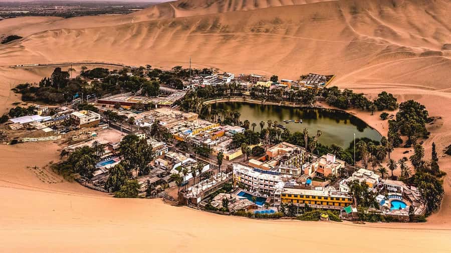 From Lima: Paracas and Huacachina Day Trip with Buggy Ride - Buggy Rides and Sandboarding Across the Dunes