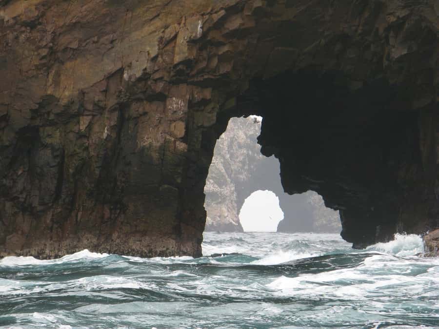 From Lima: Paracas and Huacachina Oasis Full Day Tour - Who should book this experience