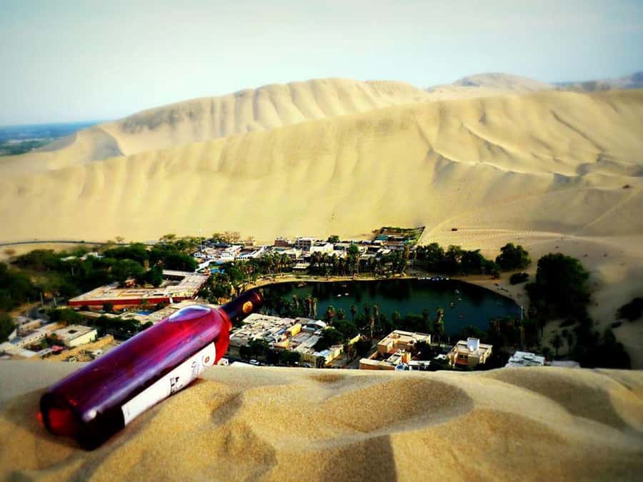 From Lima:Paracas Ballestas Islands and Ica Oasis 1 day Tour - A brief Paracas pause before Ica