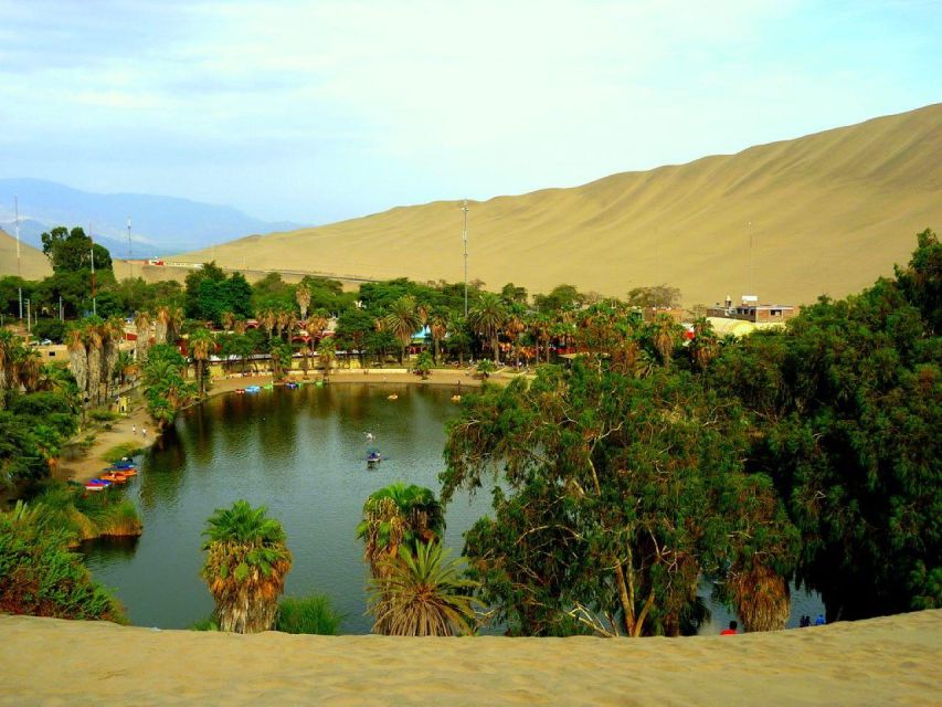 From Lima:Paracas Ballestas Islands and Ica Oasis 1 day Tour - Chincha and the final tasting stop