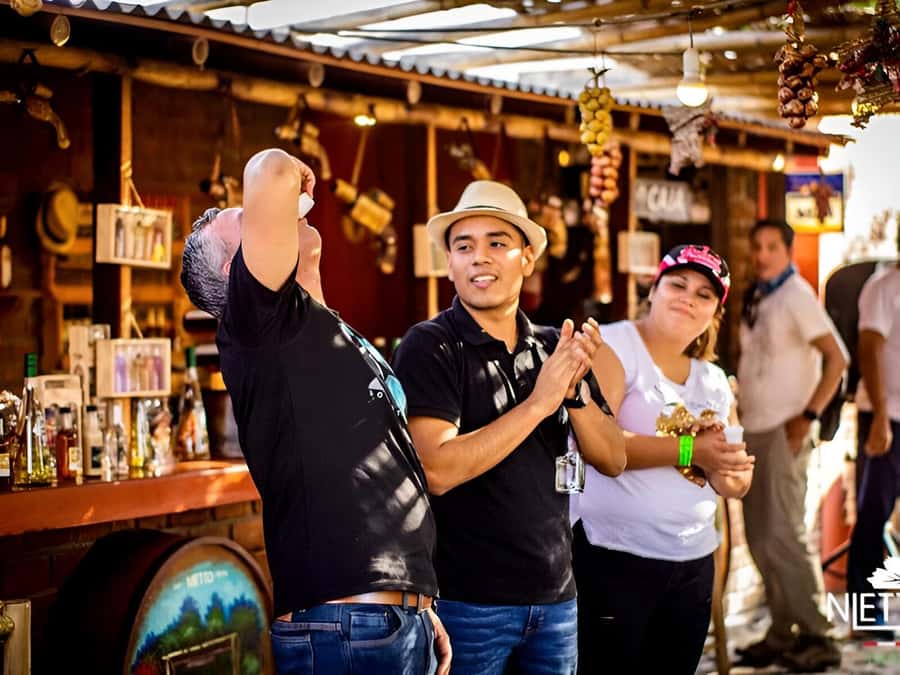 From Lima: Sunset in Huacachina Oasis & vinneyard with lunch - Key points at a glance