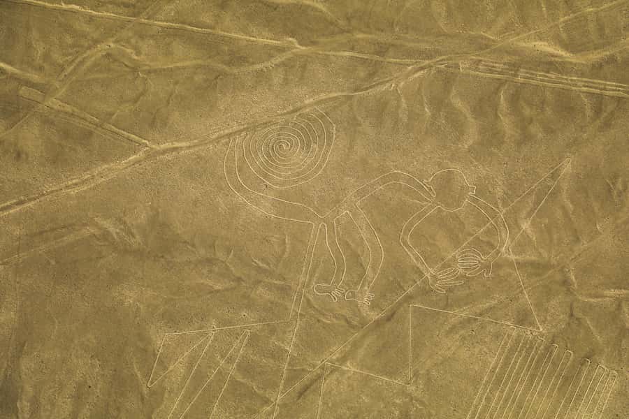 From Nazca: 35-Minute Flight Over Nazca Lines - What the Nazca Lines flight is really like