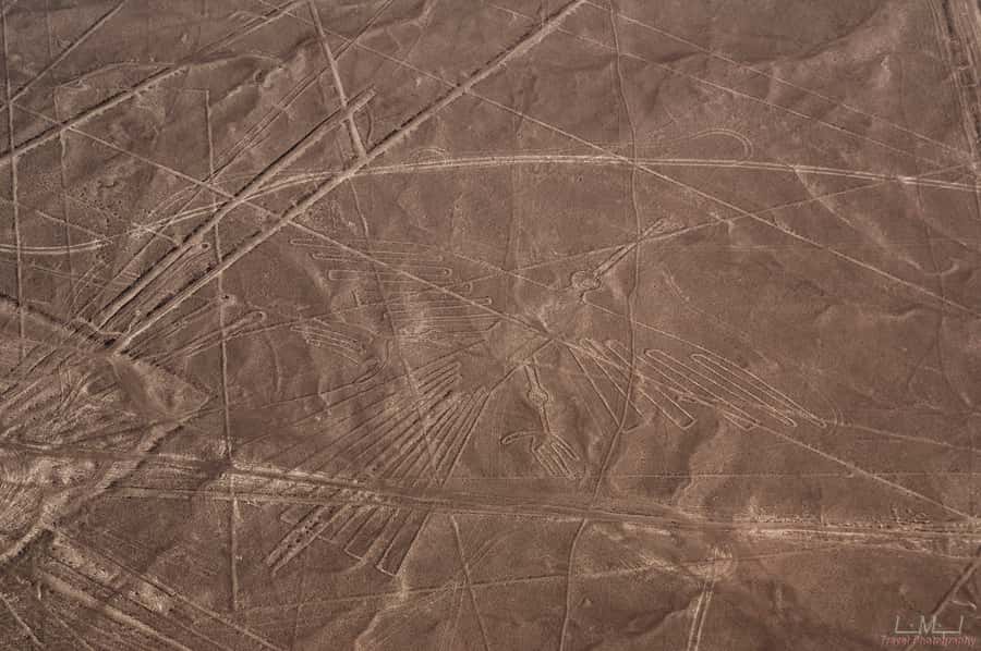 From Nazca: 35-Minute Flight Over Nazca Lines - The airport check-in and the extra fees