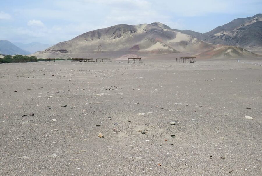 From Nazca: Chauchilla Cemetery Tour and Artisans Workshop - What the guide adds to the experience