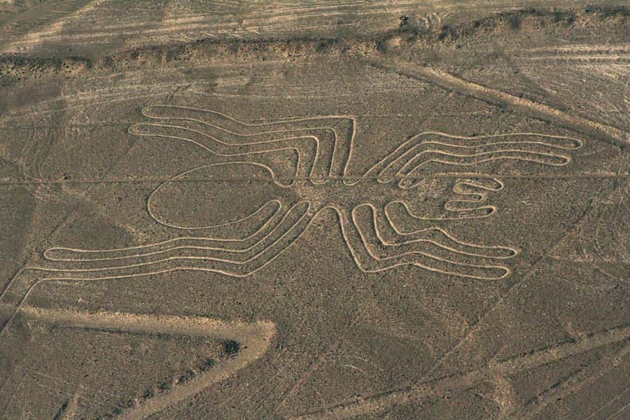 From Nazca: Flight in a light aircraft over the Nazca Lines - Maria Reiche Neumann Airport and the waiting game