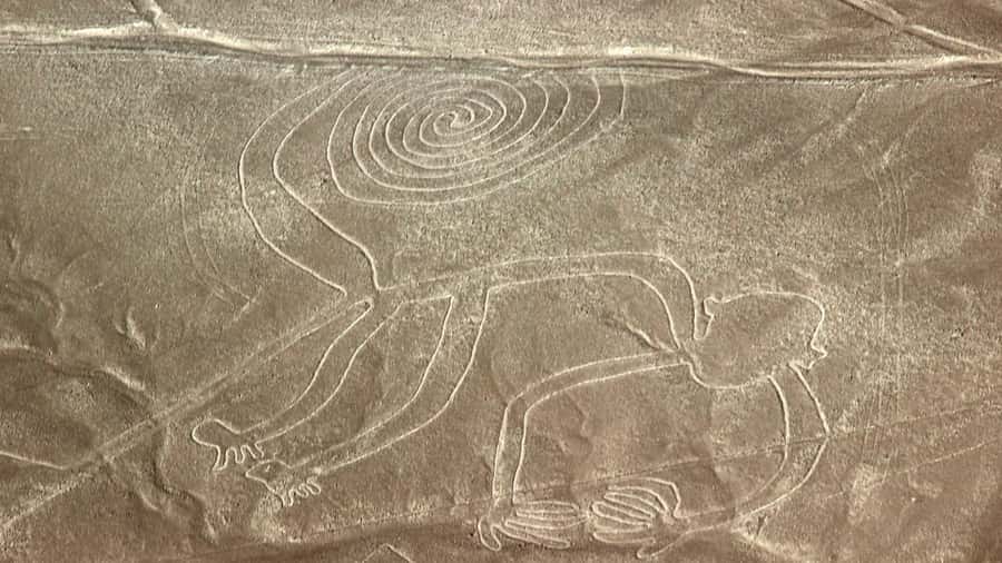 From Nazca: Flight in a light aircraft over the Nazca Lines - Pickup from your Nazca hotel