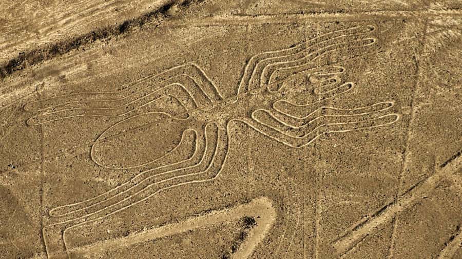 From Nazca: Small plane flight over the Nazca Lines - What the Maria Reiche Neumann Airport process means