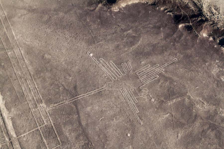 From Nazca: Small plane flight over the Nazca Lines - Starting with hotel pickup in Nazca