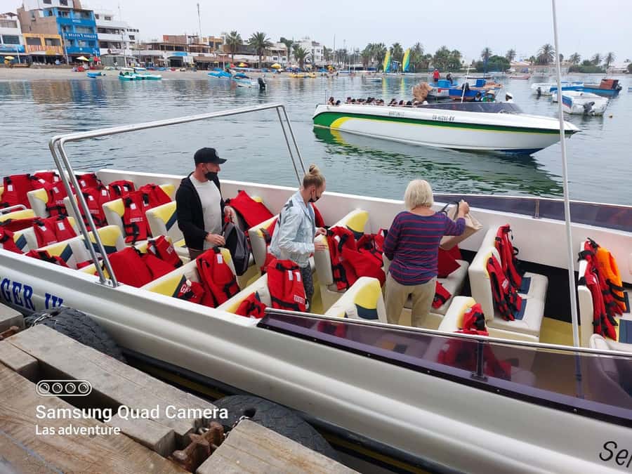 From Paracas: Ballestas Island Cruise & Paracas Reserve Tour - Why this Paracas day trip makes sense