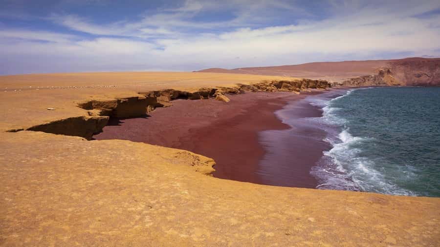 From Paracas: Ballestas Islands and Paracas National Reserve - Key points to know before booking