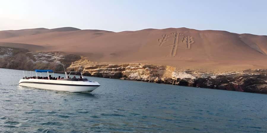 From Paracas: Ballestas Islands and Paracas National Reserve - The Ballestas Islands by eco-friendly speedboat