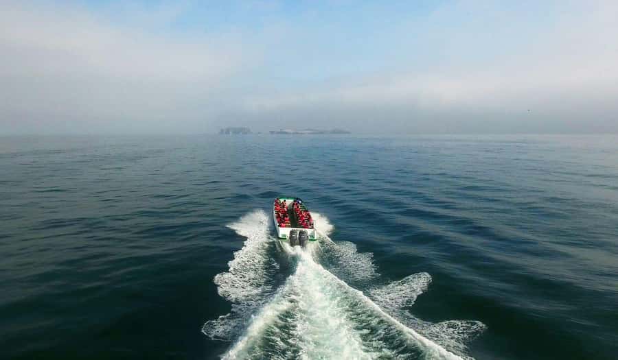 From Paracas: Ballestas Islands and Paracas National Reserve - Is $20 a fair price?