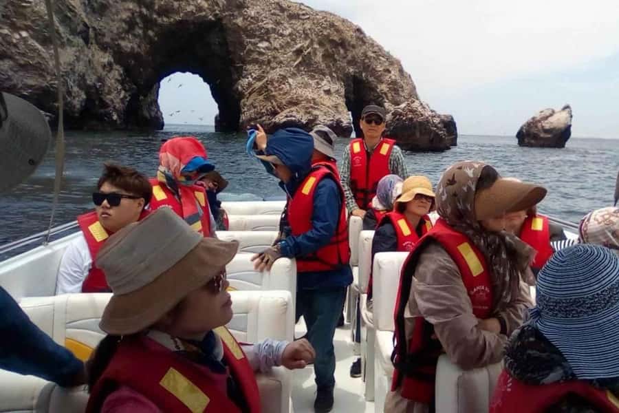 From Paracas: Ballestas Islands and Paracas National Reserve - Who will enjoy this outing most?