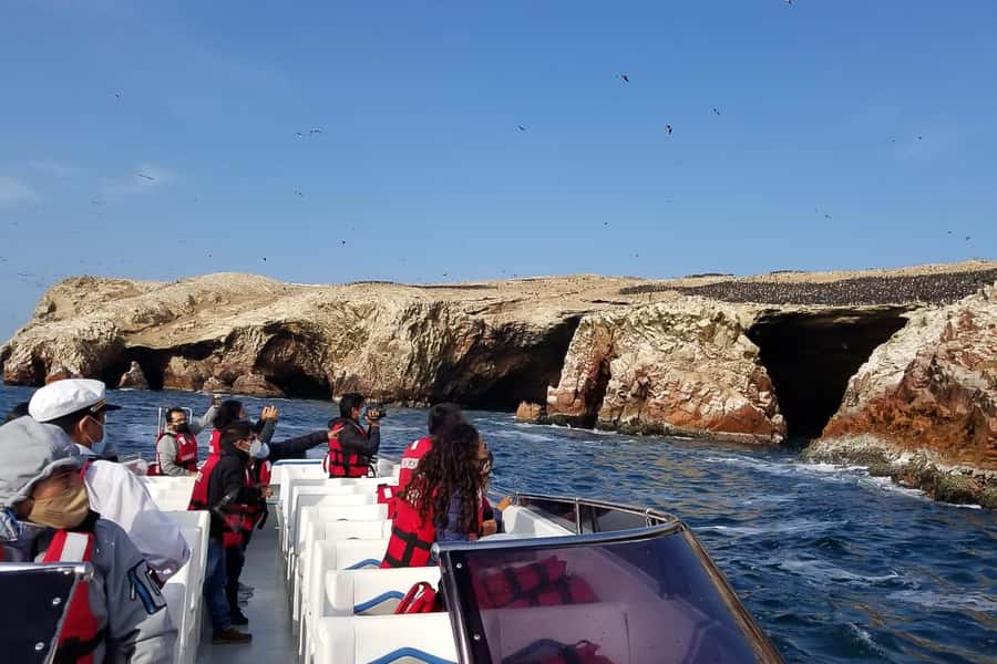 From Paracas: Ballestas Islands & Paracas National Reserve - Guides, language, and group size
