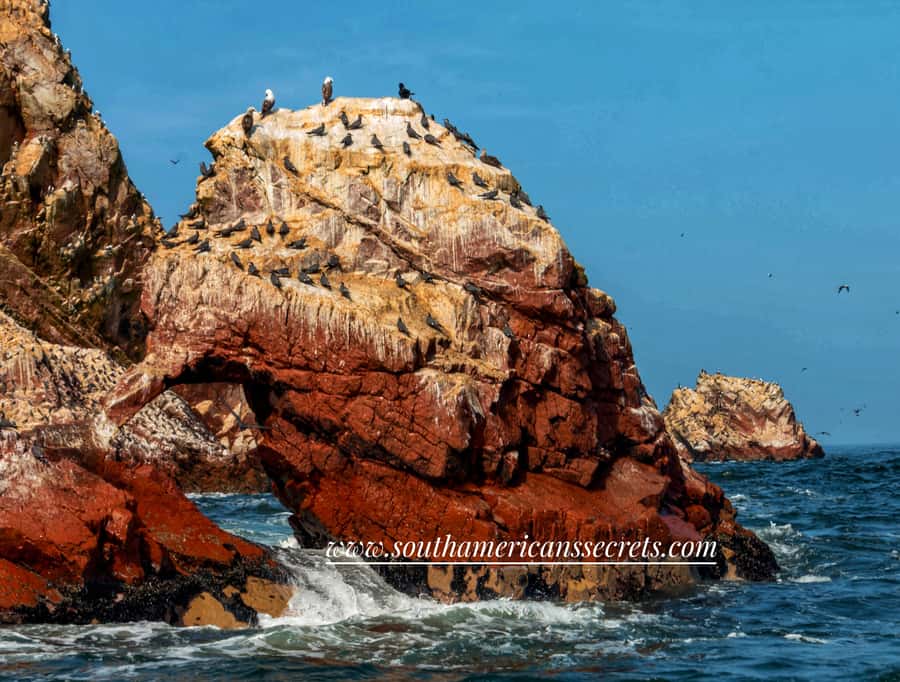 From Paracas: Ballestas Islands tour all Inclusive - Why the Ballestas Islands make a worthwhile stop