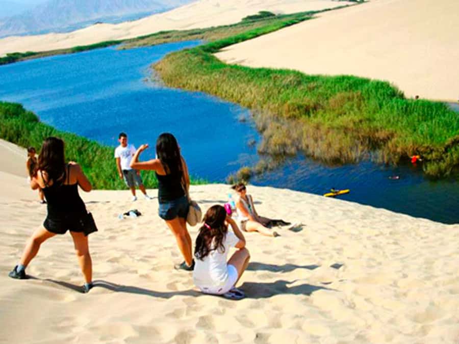 From Paracas: Mini Buggy Tour & Sandboarding at Oasis - Crossing the California desert by buggy