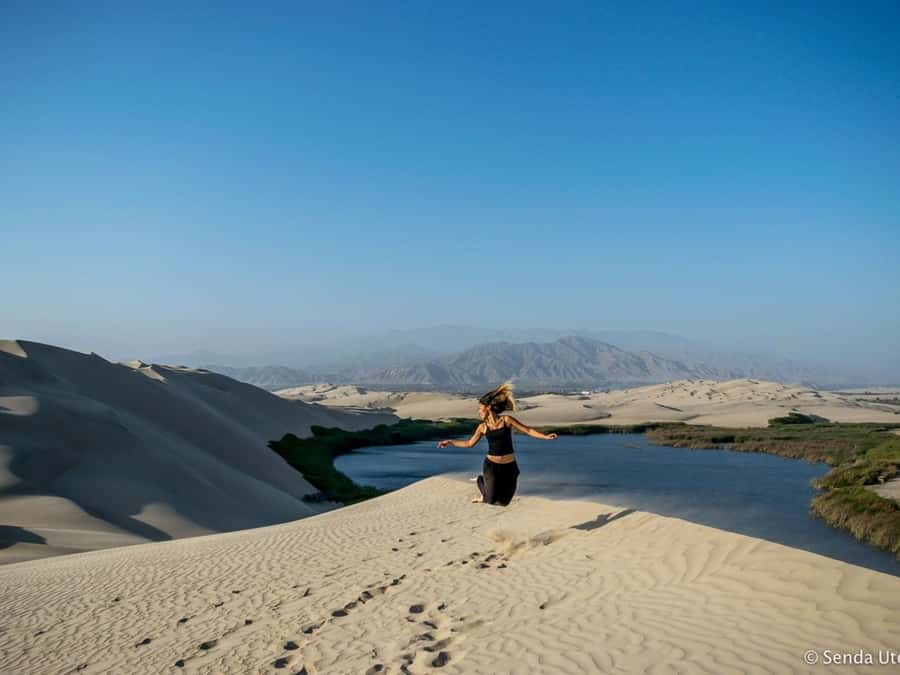 From Paracas: Mini Buggy Tour & Sandboarding at Oasis - What the three-hour schedule means