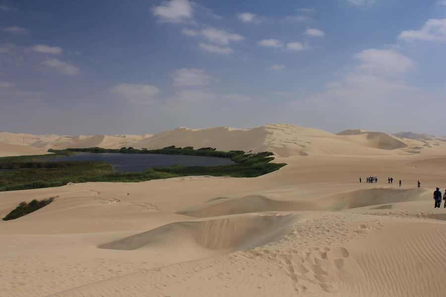 From Paracas: Mini Buggy Tour & Sandboarding at Oasis - Is $83 a fair price?