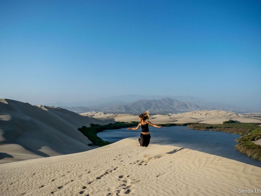From Paracas: Mini Buggy Tour & Sandboarding at Oasis - Who will enjoy this Paracas outing?