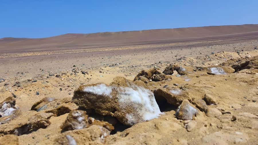 From Paracas: Paracas National Reserve Private Tour - Key things to know before you go