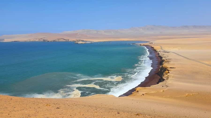 From Paracas: Paracas National Reserve Private Tour - Who should book this outing?