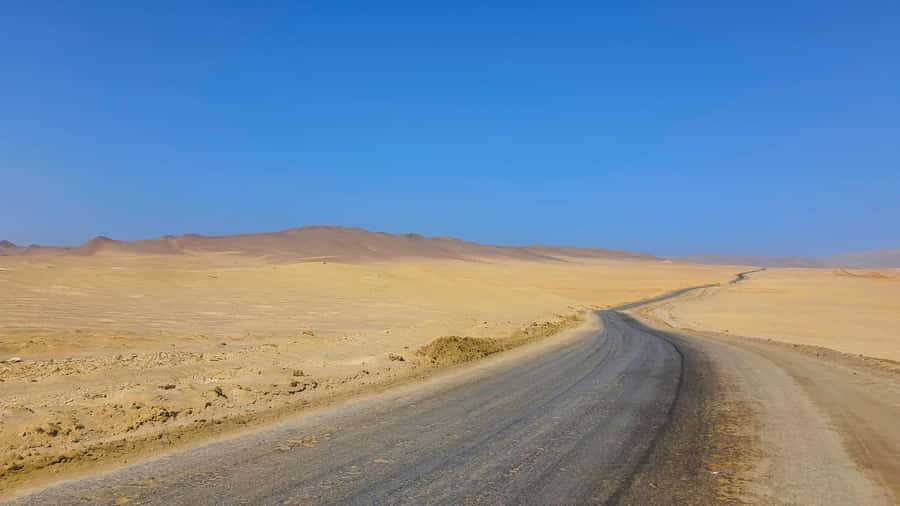 From Paracas: Paracas National Reserve Private Tour - From Paracas or Pisco into the reserve