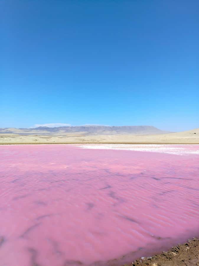 From Paracas: Paracas National Reserve Private Tour - The visitor center and a quick lesson in local life
