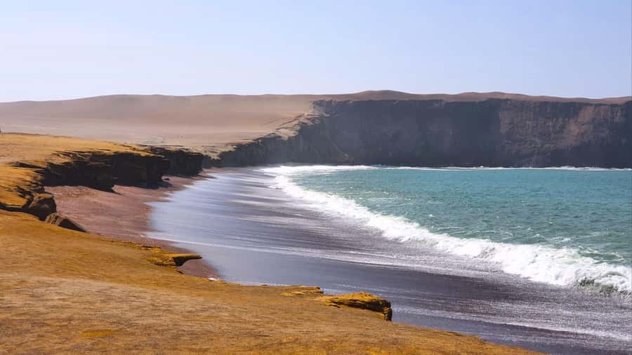 From Paracas: Paracas National Reserve Private Tour - How the private format affects the experience
