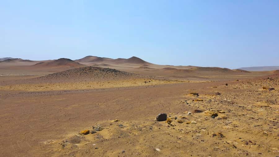 From Paracas: Paracas National Reserve Private Tour - Why Paracas National Reserve feels different