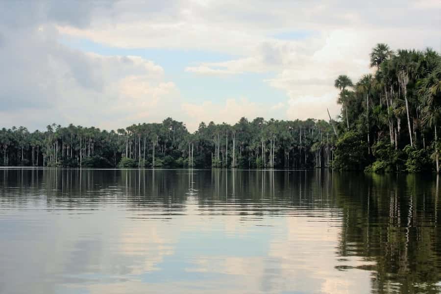 From Puerto Maldonado - Tambopata 4D/3N - Leaving Puerto Maldonado for the Tambopata River