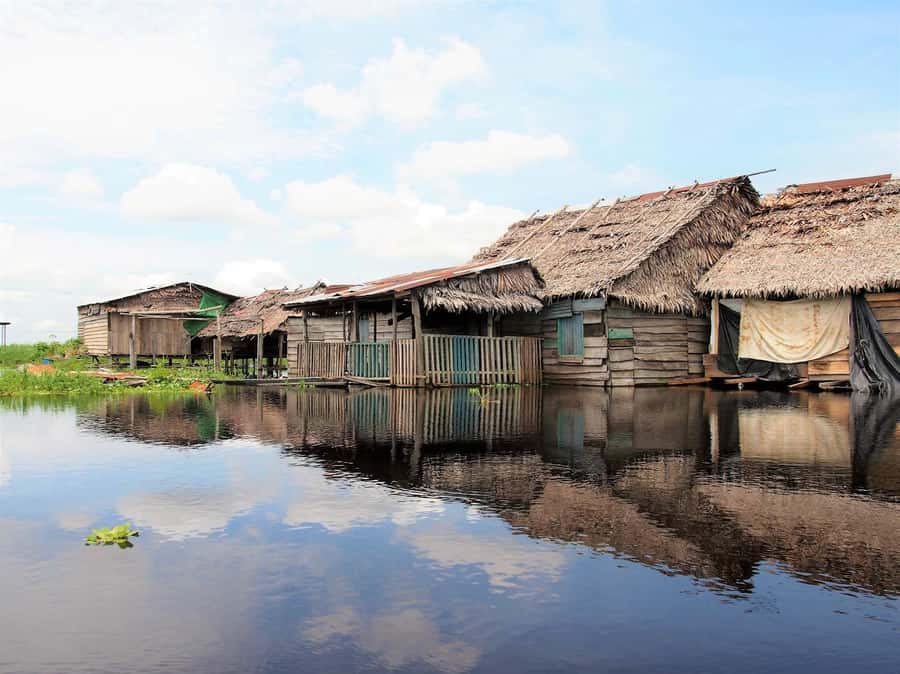 From Puerto Maldonado - Tambopata 4D/3N - What the $600 price really includes