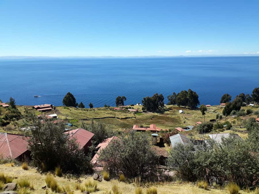 From Puno: full day tour to Uros and Taquile with Lunch - Trout Lunch and a Needed Rest