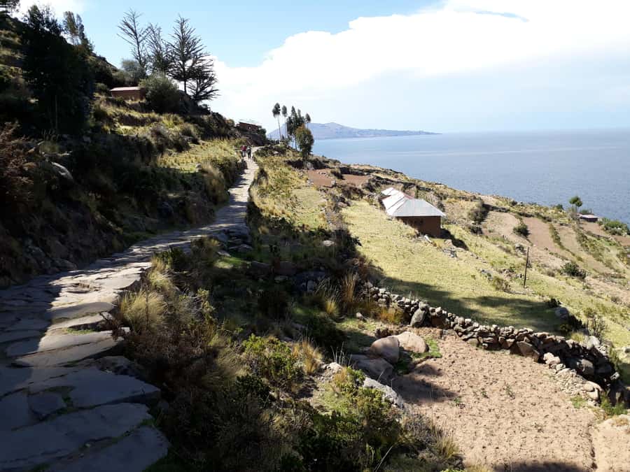 From Puno: full day tour to Uros and Taquile with Lunch - Uros and the Totora Reed Islands
