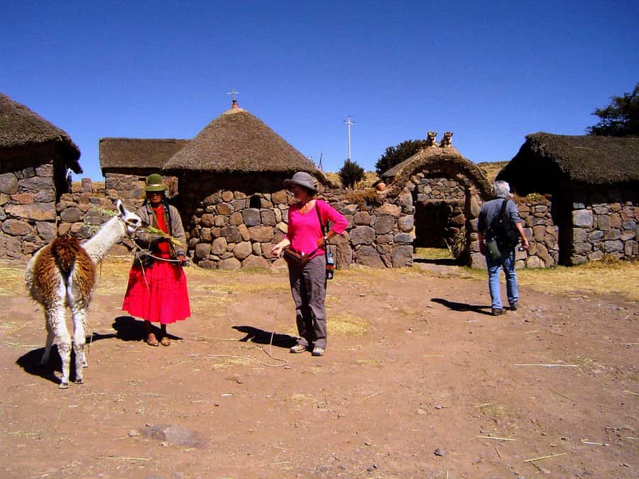 From Puno: Sillustani Tombs and Tourist View Point Puma - How the guide affects the experience