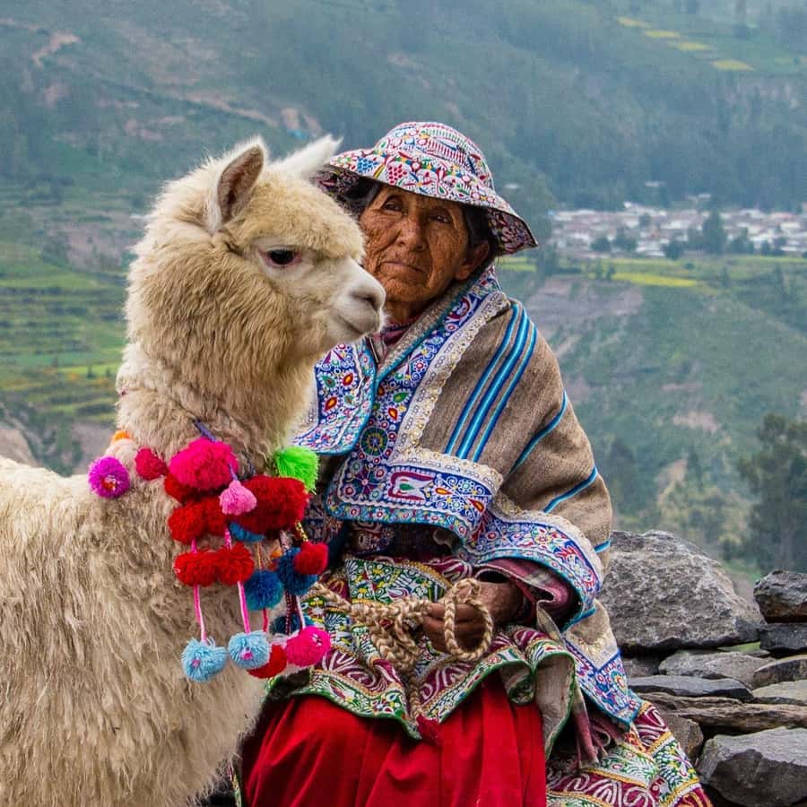 From Puno to Arequipa: 2 Days/1 Night Colca Canyon Tour - Coca leaves, altitude, and Patapampa at 4,830 meters