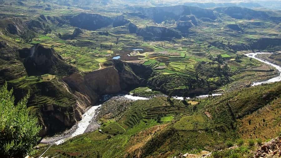 From Puno to Arequipa: 2 Days/1 Night Colca Canyon Tour - Lagunillas Lagoon and the first wildlife stops