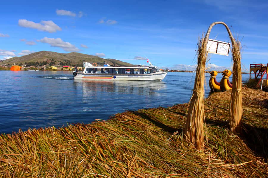 From Puno: Uros floating islands half Day tour - The three-hour schedule and who it suits