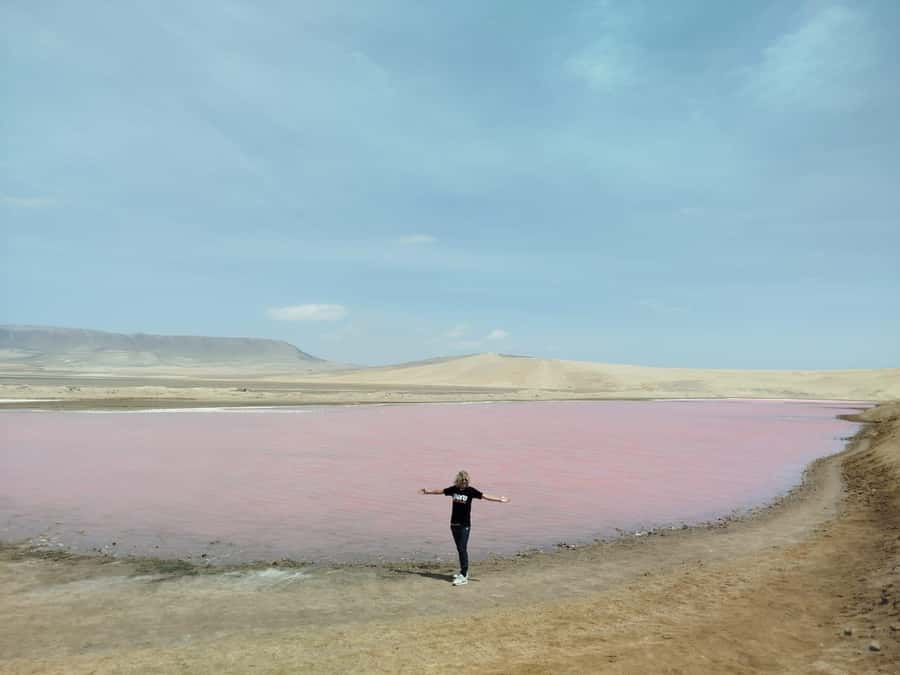 From San Martin Port: Ballestas Island & Paracas Reserve - Key points to know before booking