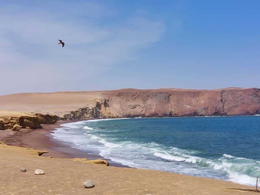 From San Martin Port: Ballestas Island & Paracas Reserve - Leaving San Martin Port for El Chaco