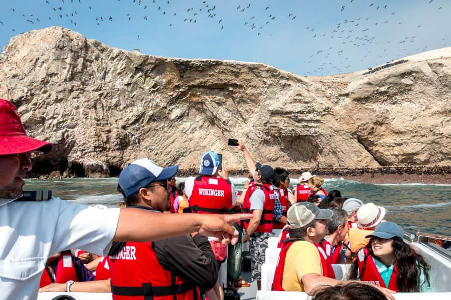 From San Martin Port: Ballestas Island & Paracas Reserve - The Cathedral viewpoint and Paracas geology